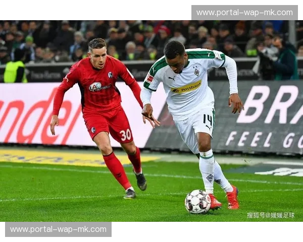 霍芬海姆3-0完胜弗赖堡，曹法尔助攻梅开二度